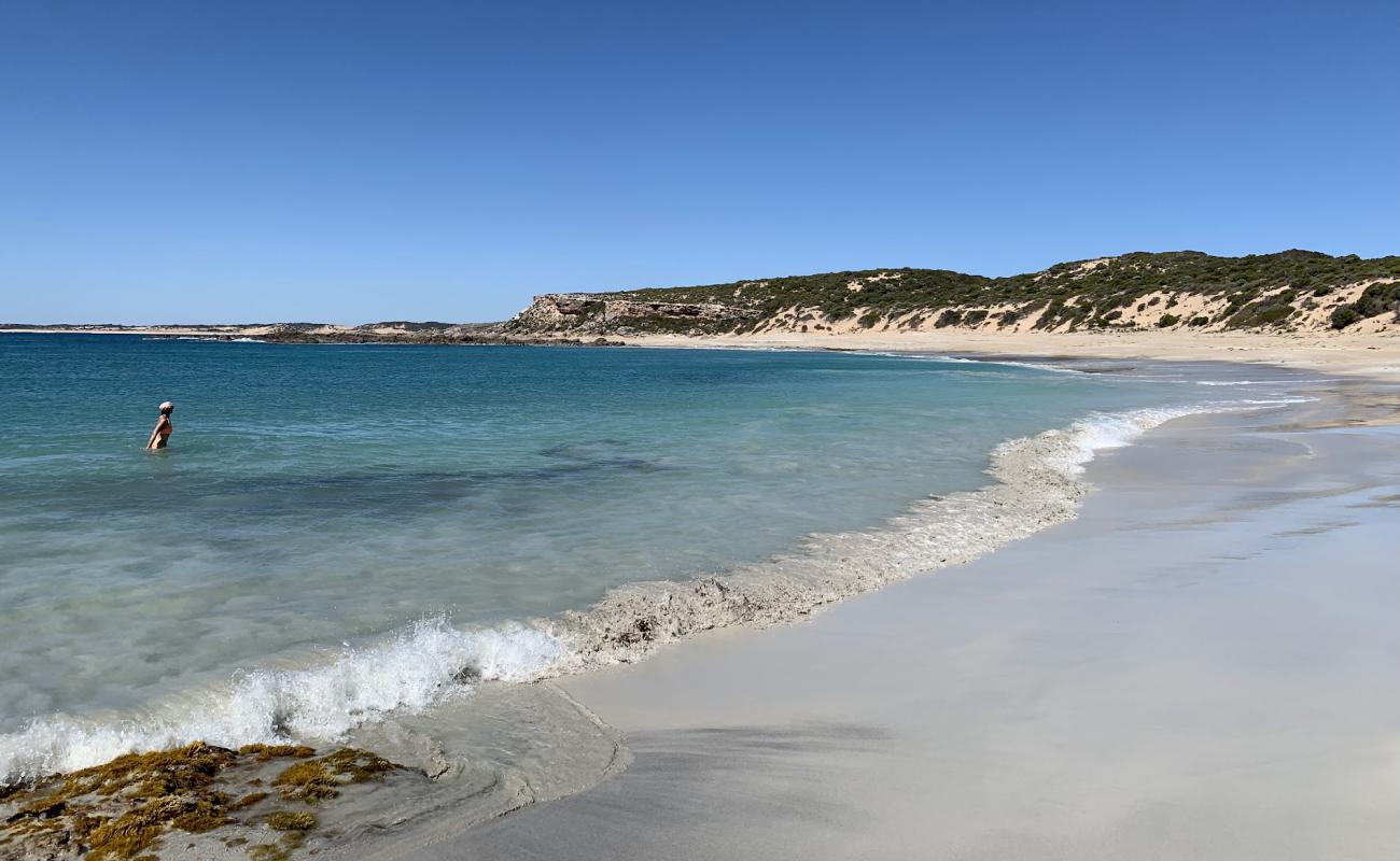 Фото Shell Beach с светлый песок поверхностью