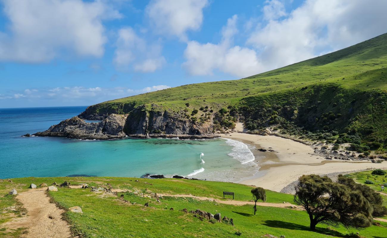 Фото Blowhole Beach с светлый песок поверхностью