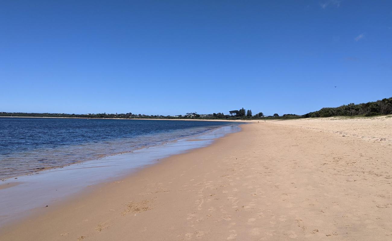 Фото Cape Woolamai Beach с светлый песок поверхностью