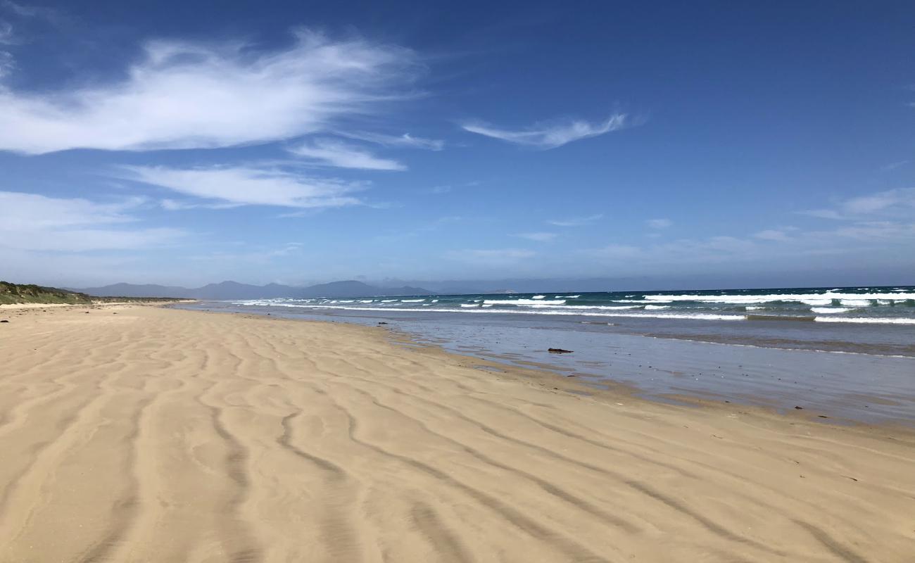 Фото Waratah Shallow Beach с светлый песок поверхностью