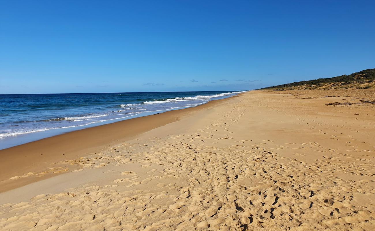 Фото Ninety Mile Beach с золотистый песок поверхностью