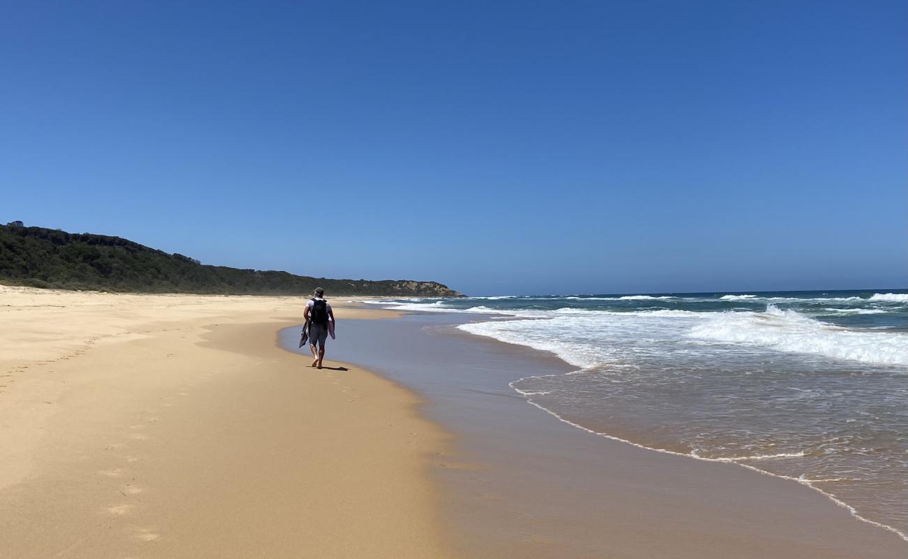 Фото Shelly Beach с золотистый песок поверхностью