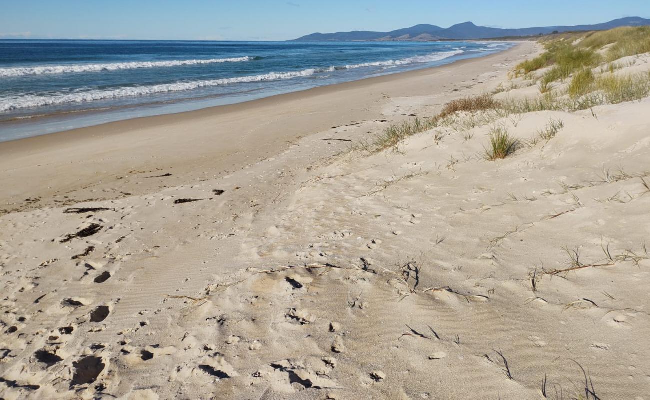 Фото Beaumaris Beach с светлый песок поверхностью