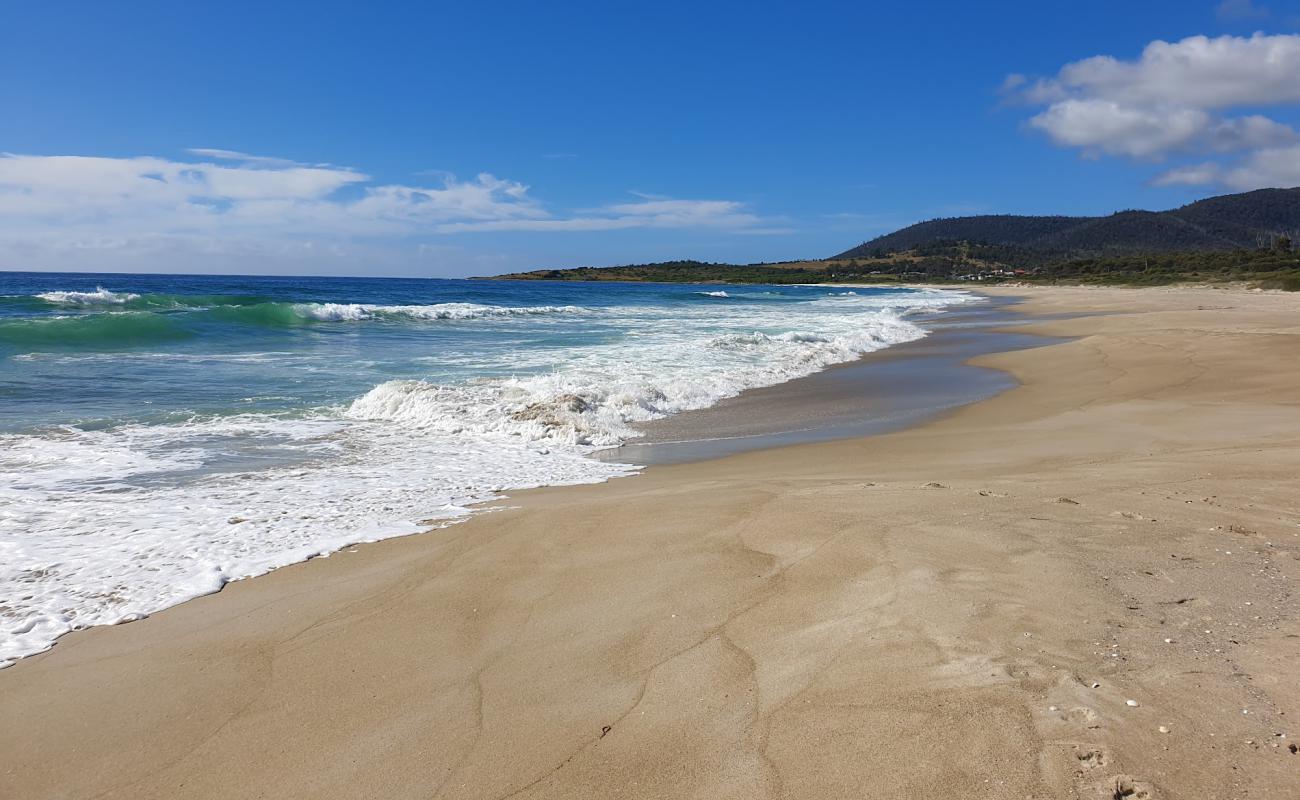 Фото Four Mile Creek Beach с светлый песок поверхностью