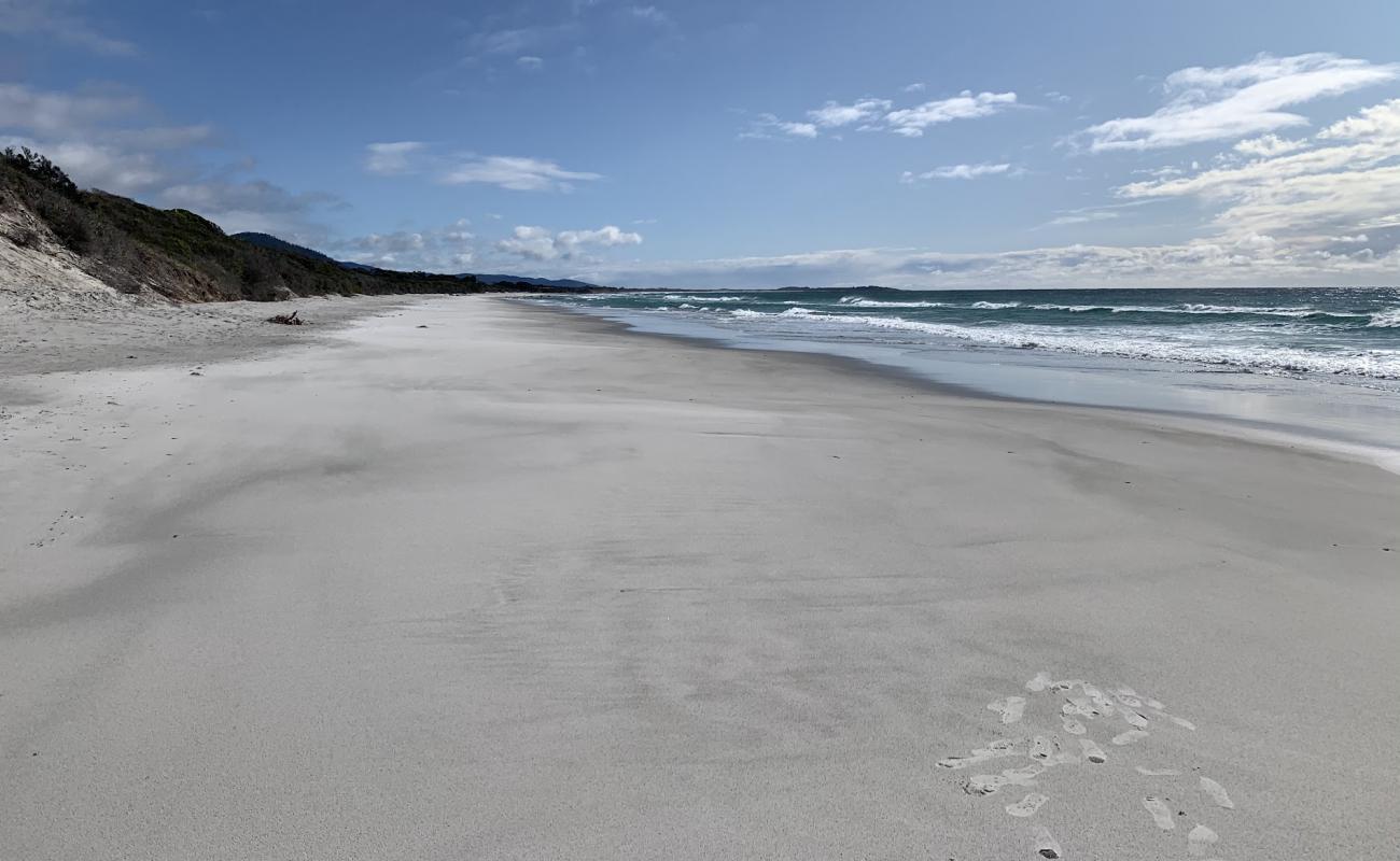 Фото Denison Beach с белый песок поверхностью