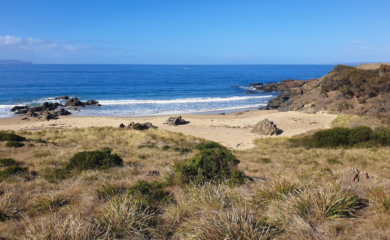 Фото Cressy Beach с песок с галькой поверхностью