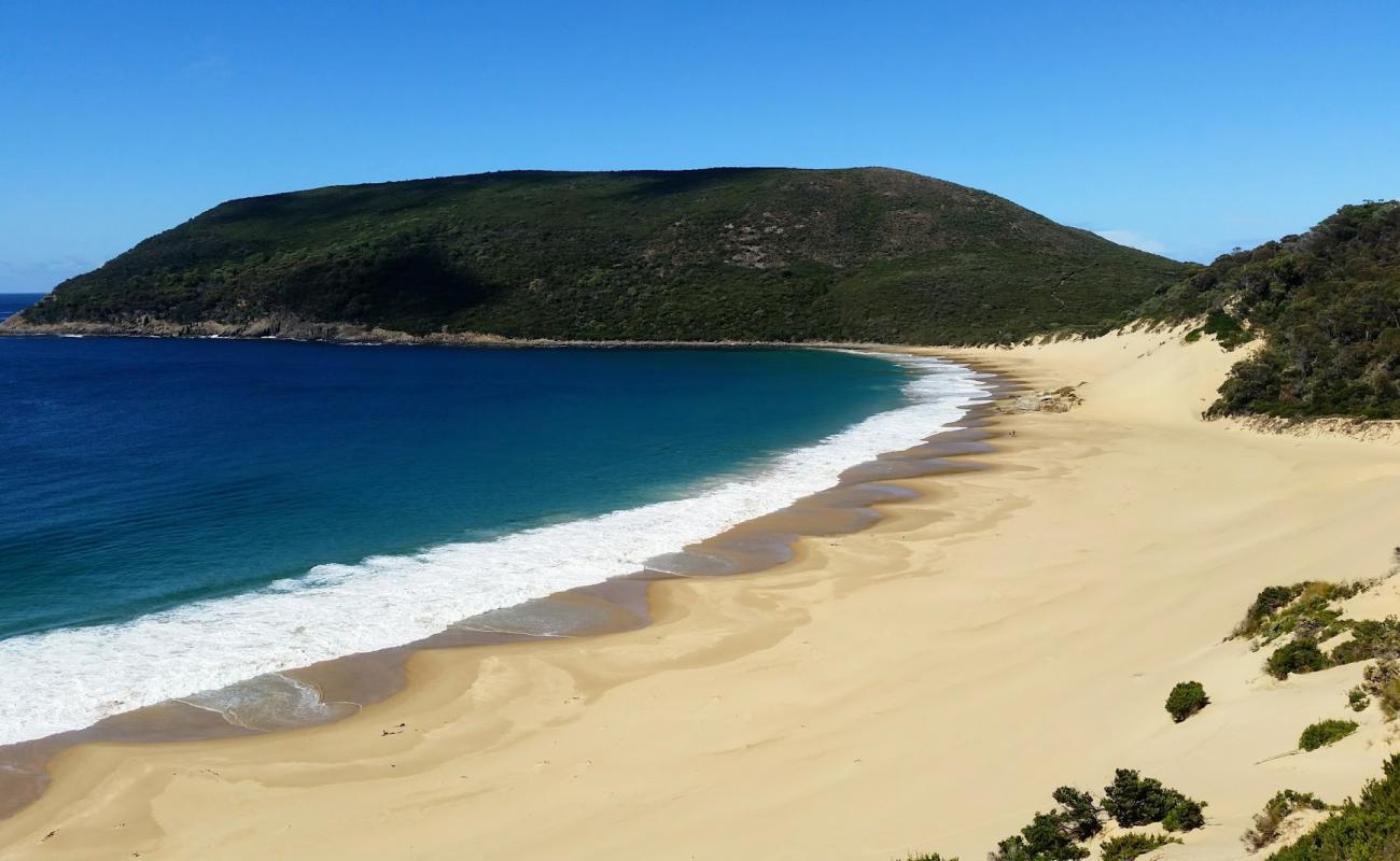 Фото Cape Pillar Beach с золотистый песок поверхностью