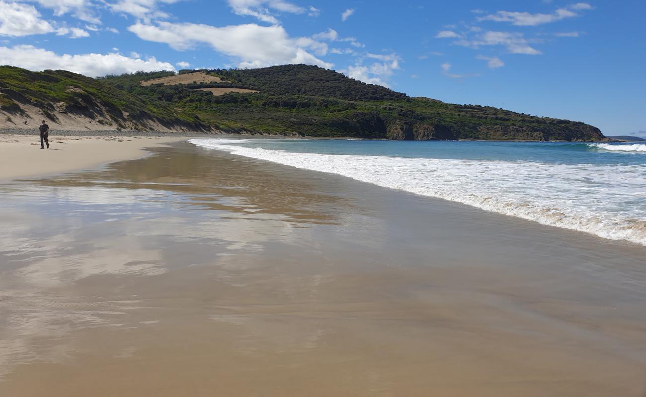 Фото Roaring Beach Beach с белая чистая галька поверхностью