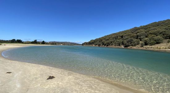 Carlton Beach