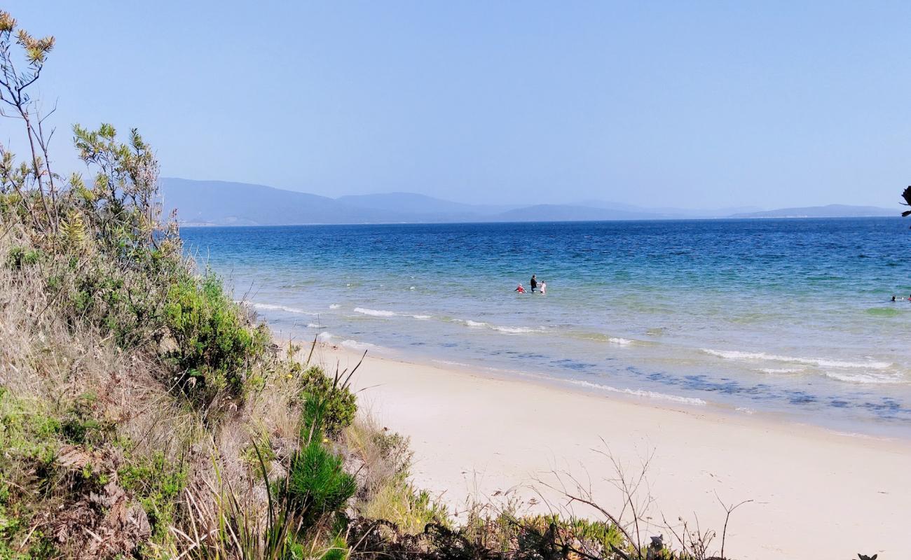 Фото Ninepin Point Beach с светлый песок поверхностью