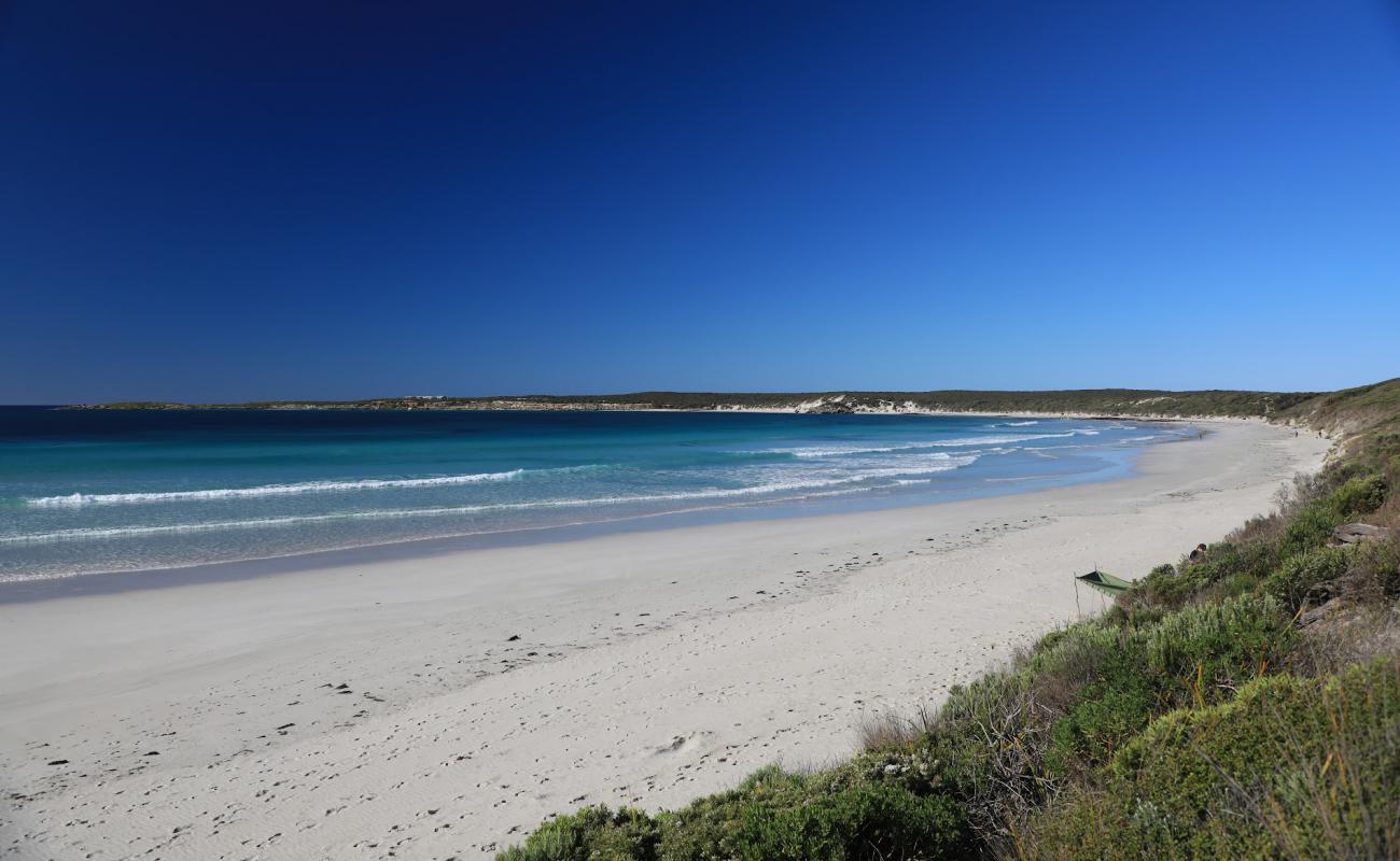 Фото Vivonne Bay Beach с светлый песок поверхностью