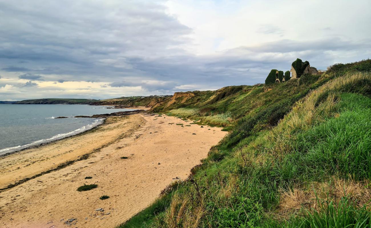 Фото Boyce's Bay Beach с светлый песок поверхностью