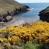 Portally Cove Beach