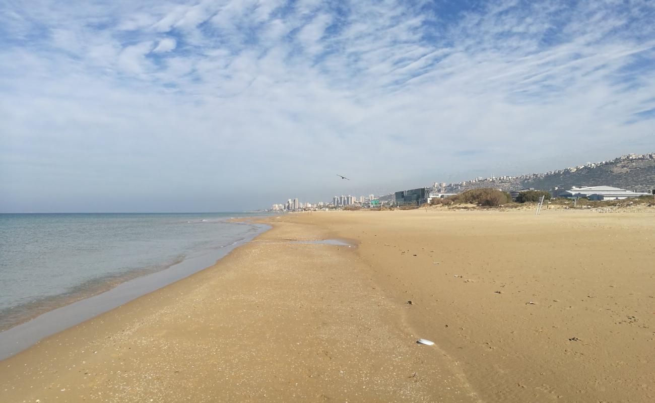 Фото Hof HaCarmel с светлый песок поверхностью