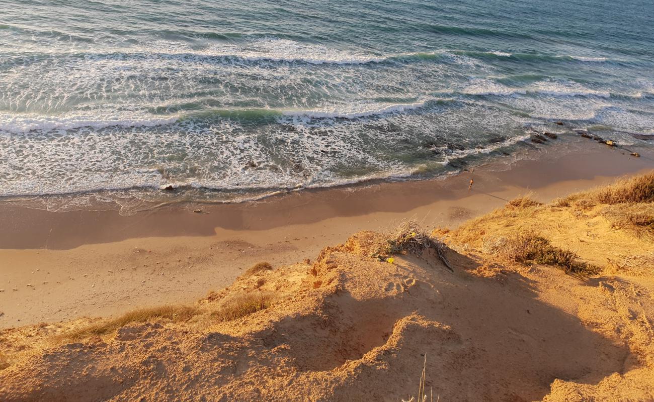 Фото Nude beach с светлый песок поверхностью