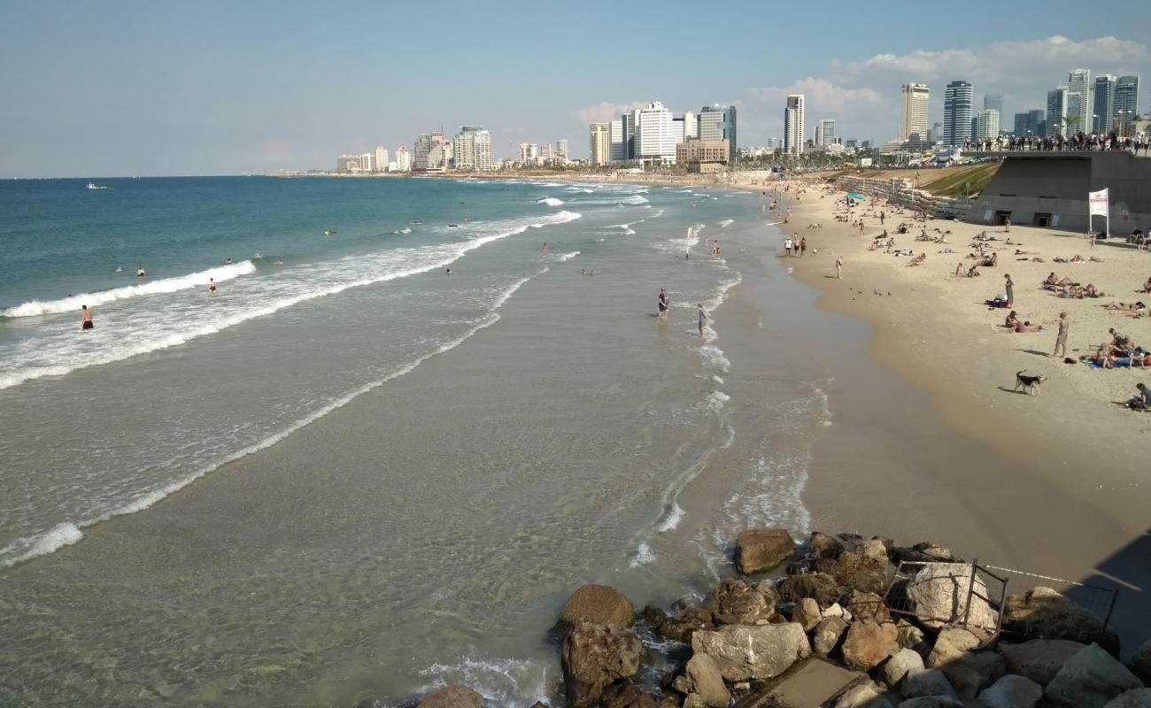 Фото Charles Clore beach с золотистый песок поверхностью