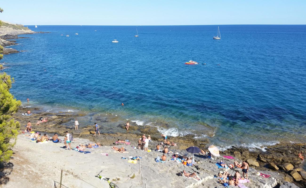 Фото Le Ciapellette beach с камни поверхностью