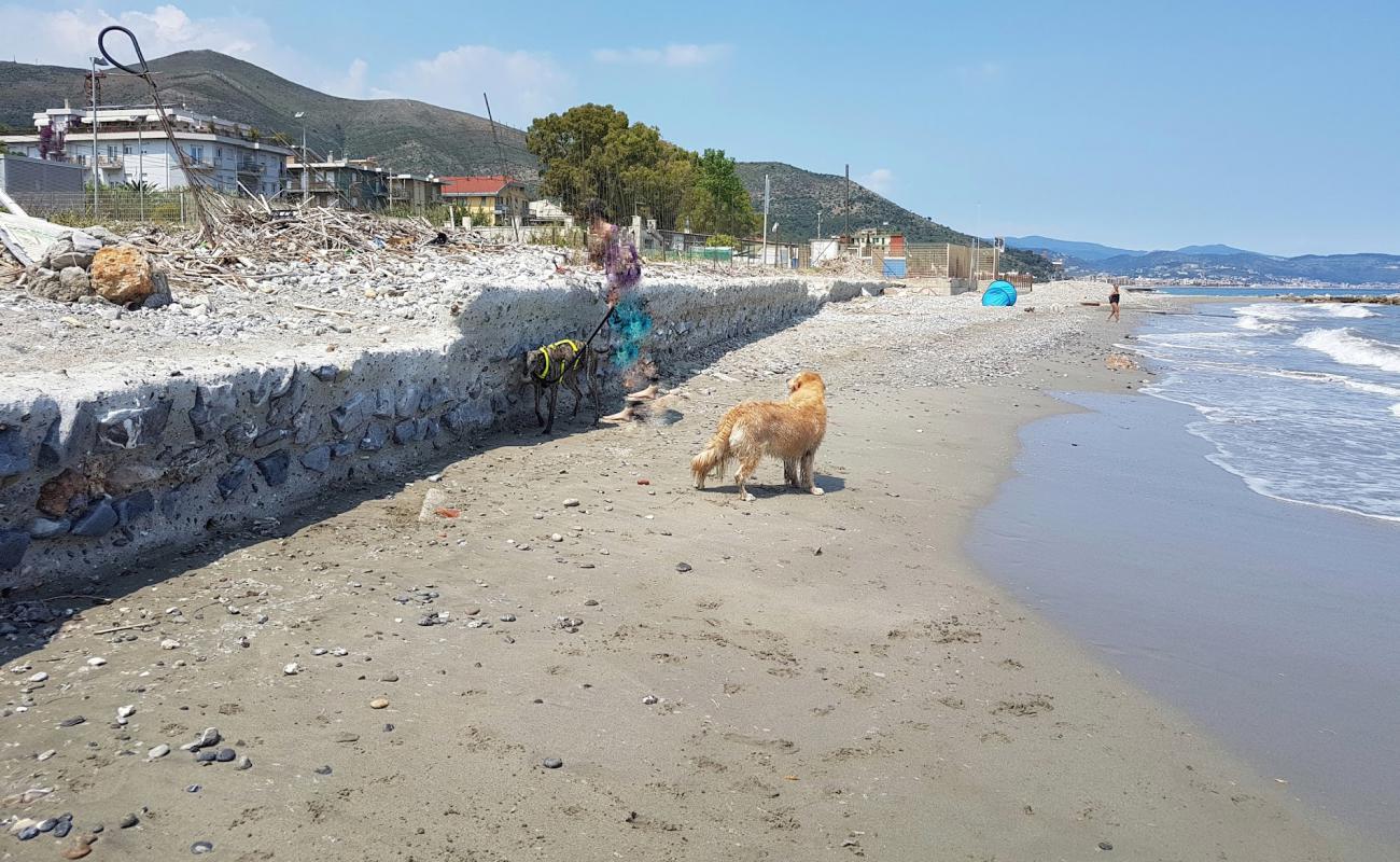 Фото Ceriale dog beach с песок с галькой поверхностью