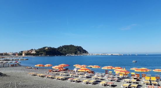 Spiaggia per cani