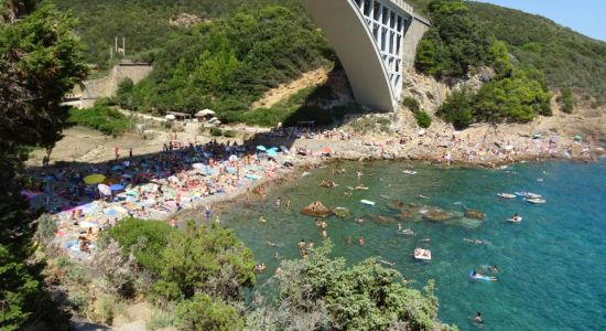 Calignaia beach