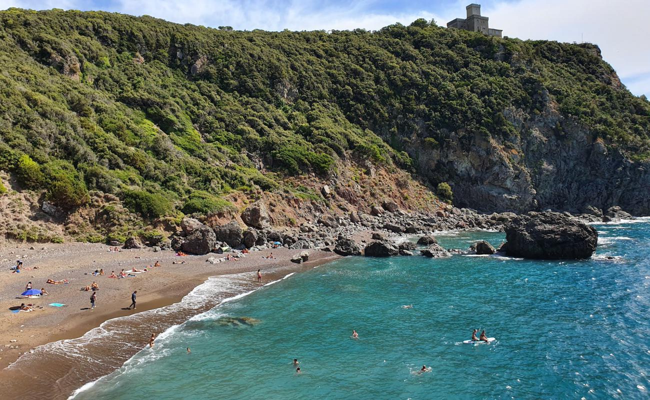 Фото Cala del Leone с серая чистая галька поверхностью