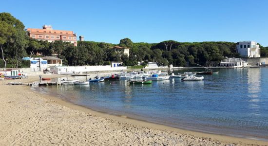 Castiglioncello beach