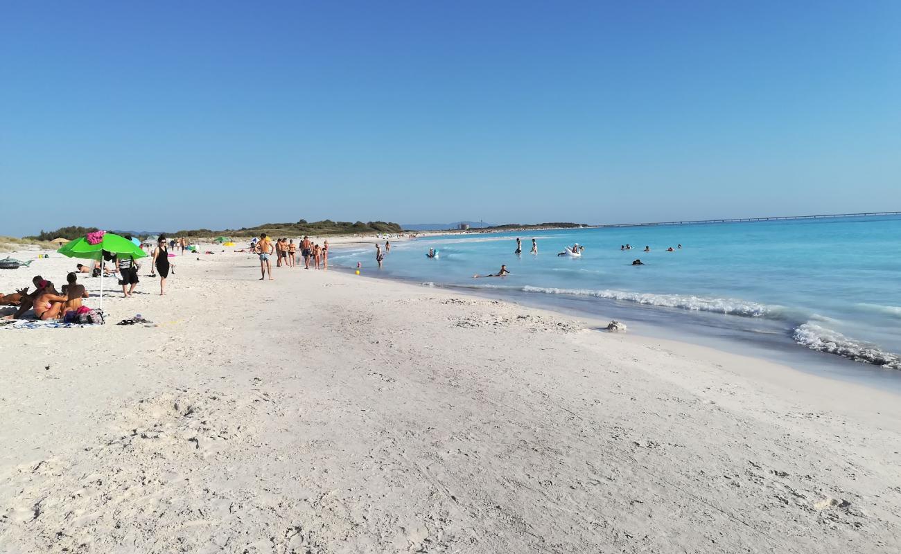 Фото Rosignano Solvay spiaggia bianche с золотистый песок поверхностью