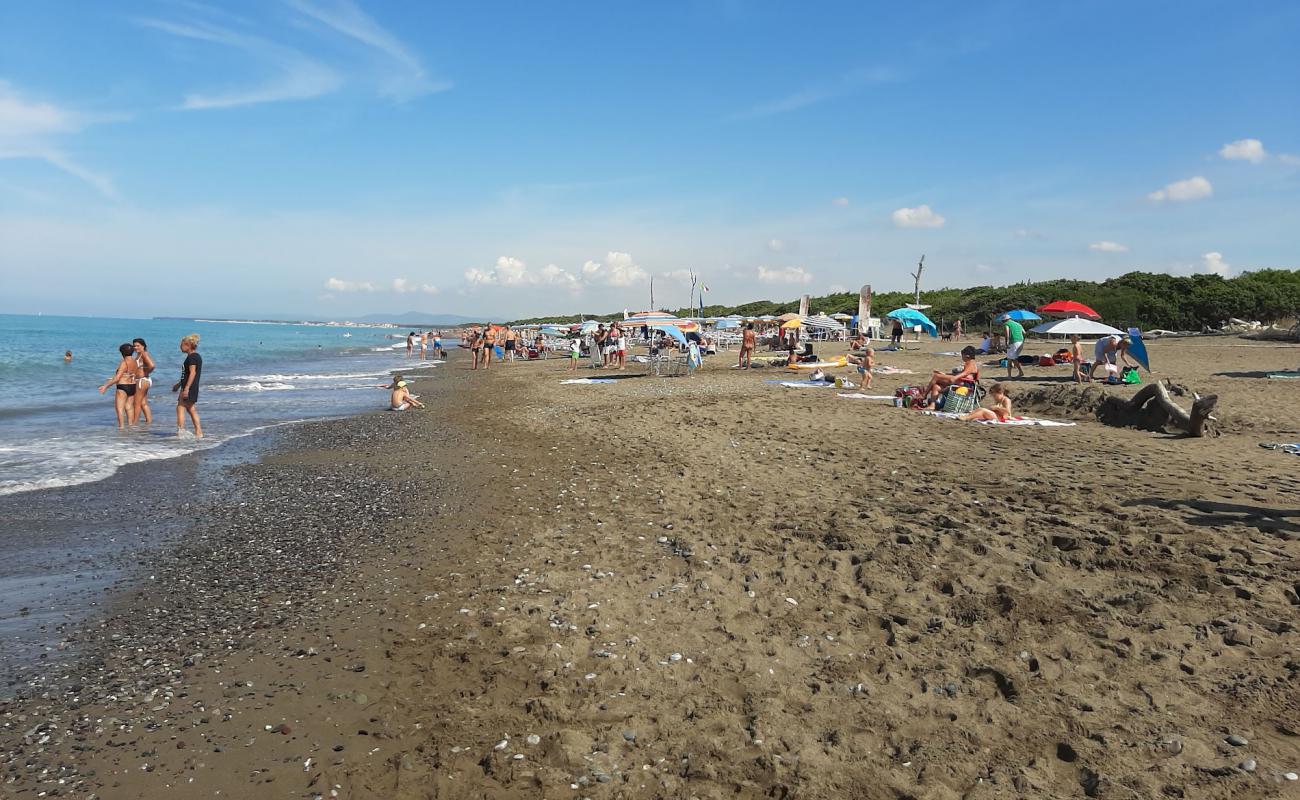 Фото Spiaggia di Marina di Bibbona с темный песок поверхностью