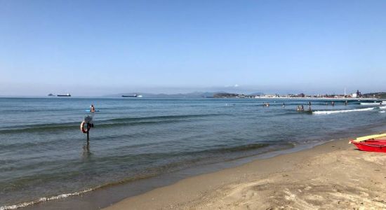 Spiaggia quagliodromo II