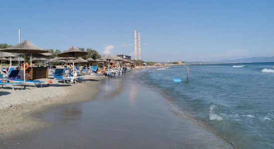 Spiaggia quagliodromo