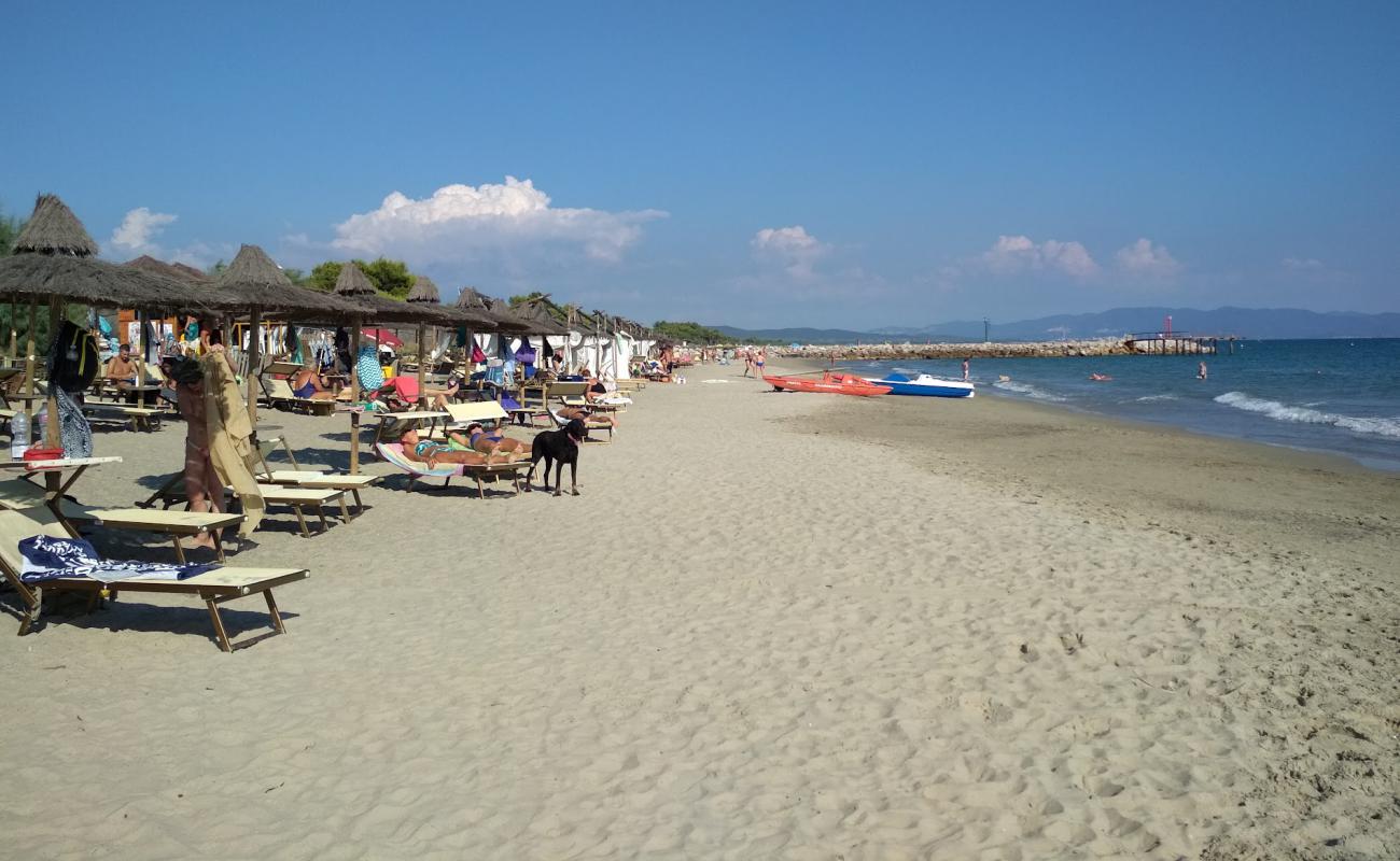 Фото Carbonifera dog beach с темный песок поверхностью