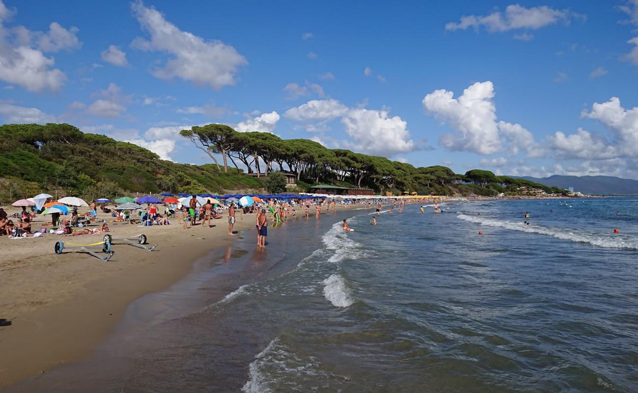 Фото Follonica beach с темный песок поверхностью