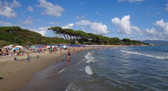 Follonica beach