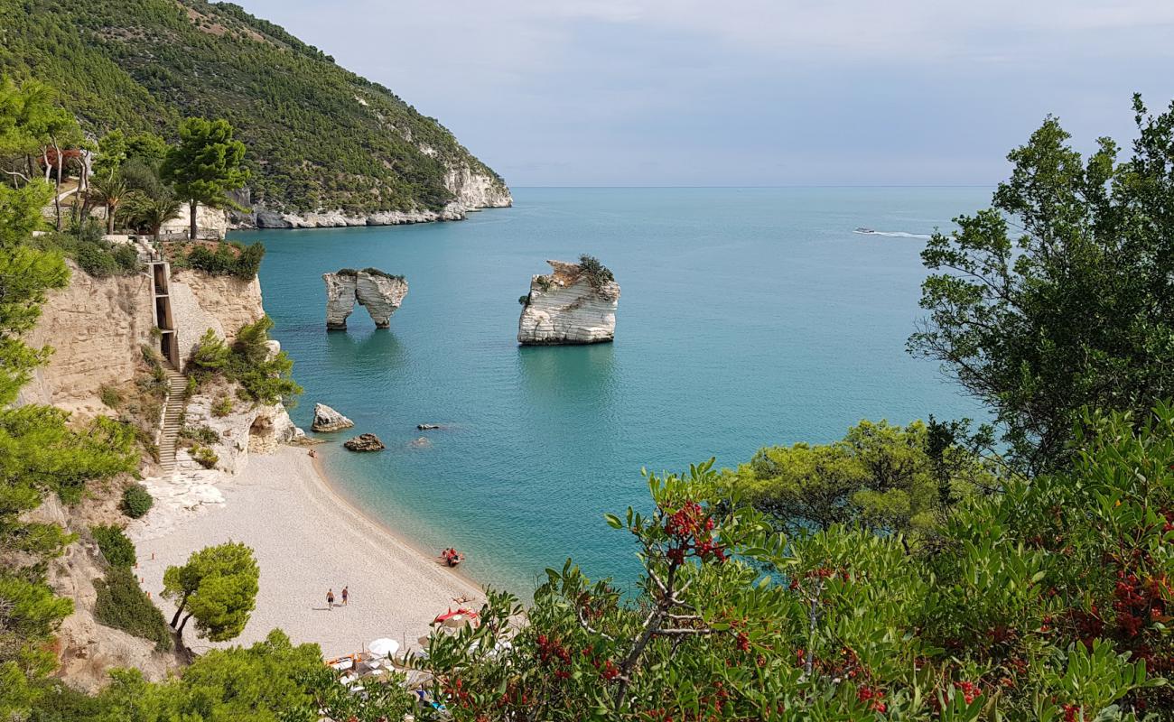 Фото Spiaggia di Baia dei Mergoli с белая чистая галька поверхностью