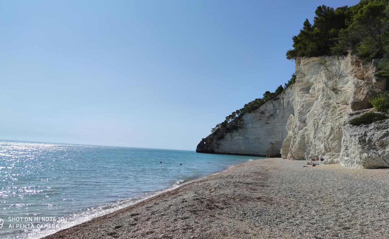 Фото Spiaggia di Vignanotica с белая чистая галька поверхностью