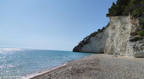 Spiaggia di Vignanotica