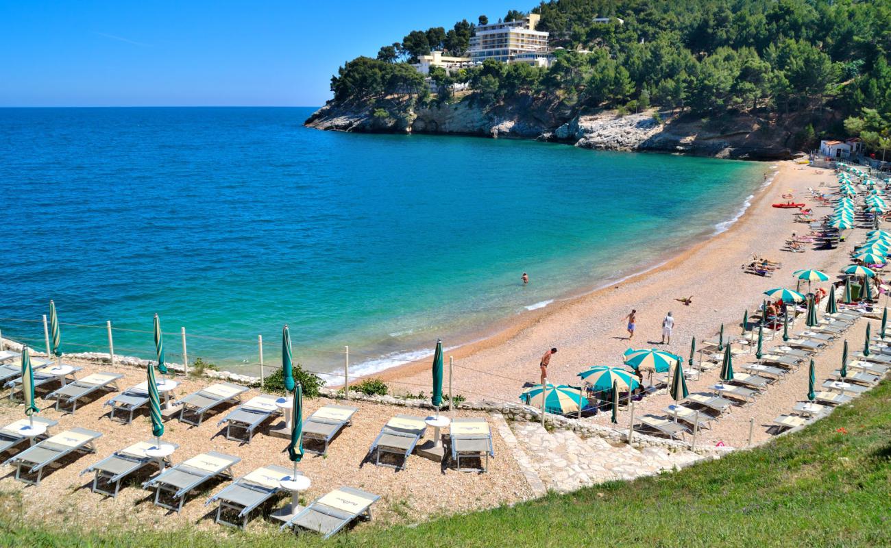 Фото Spiaggia Pugnochiuso с белая чистая галька поверхностью