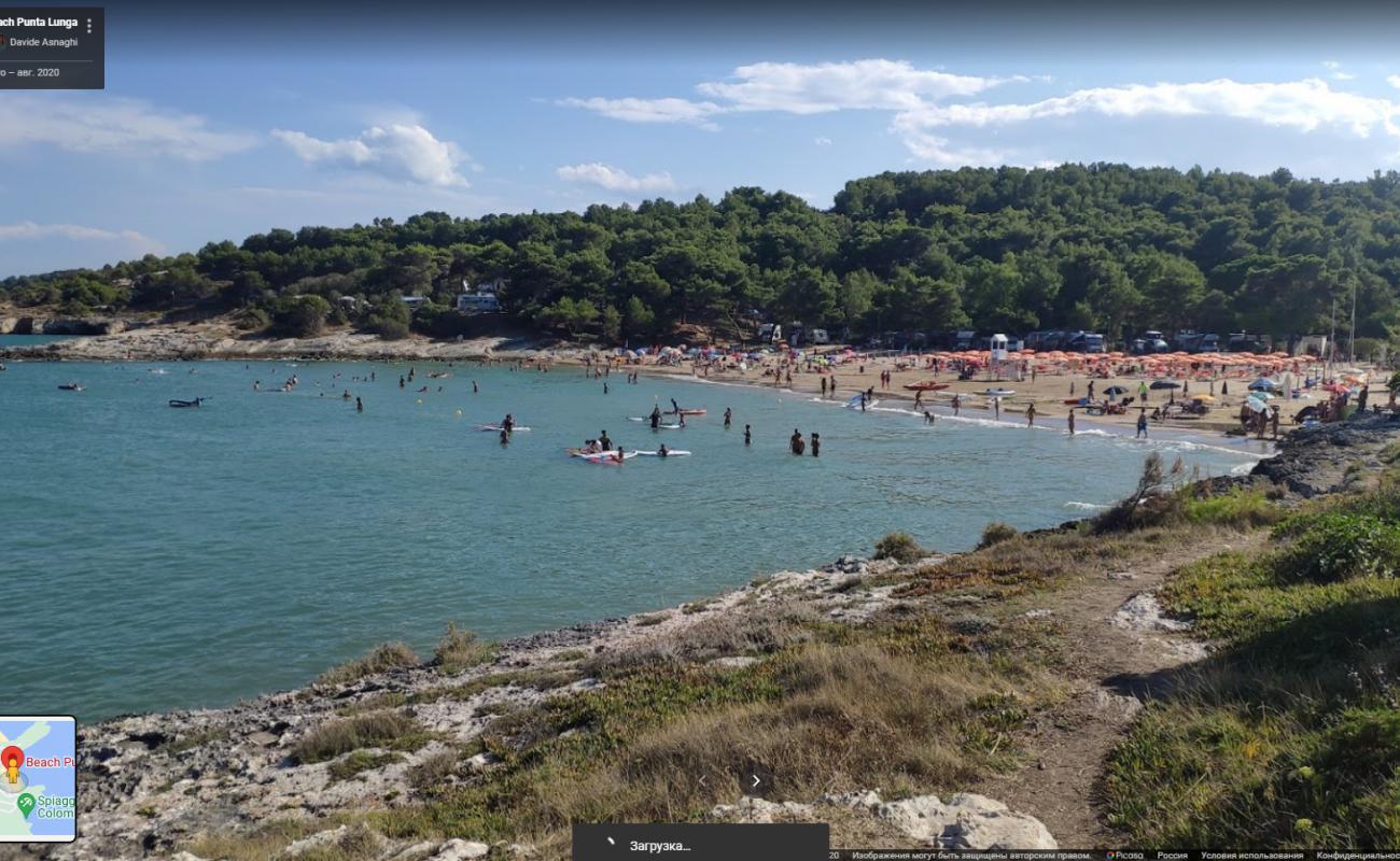 Фото Punta Lunga находится в природной зоне