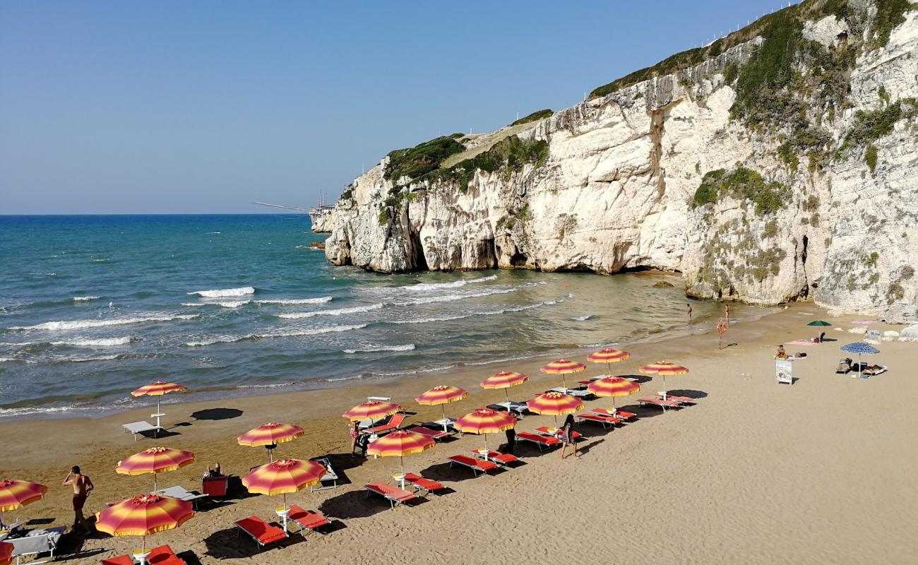 Фото Spiaggia di Zaiana с темный чистый песок поверхностью