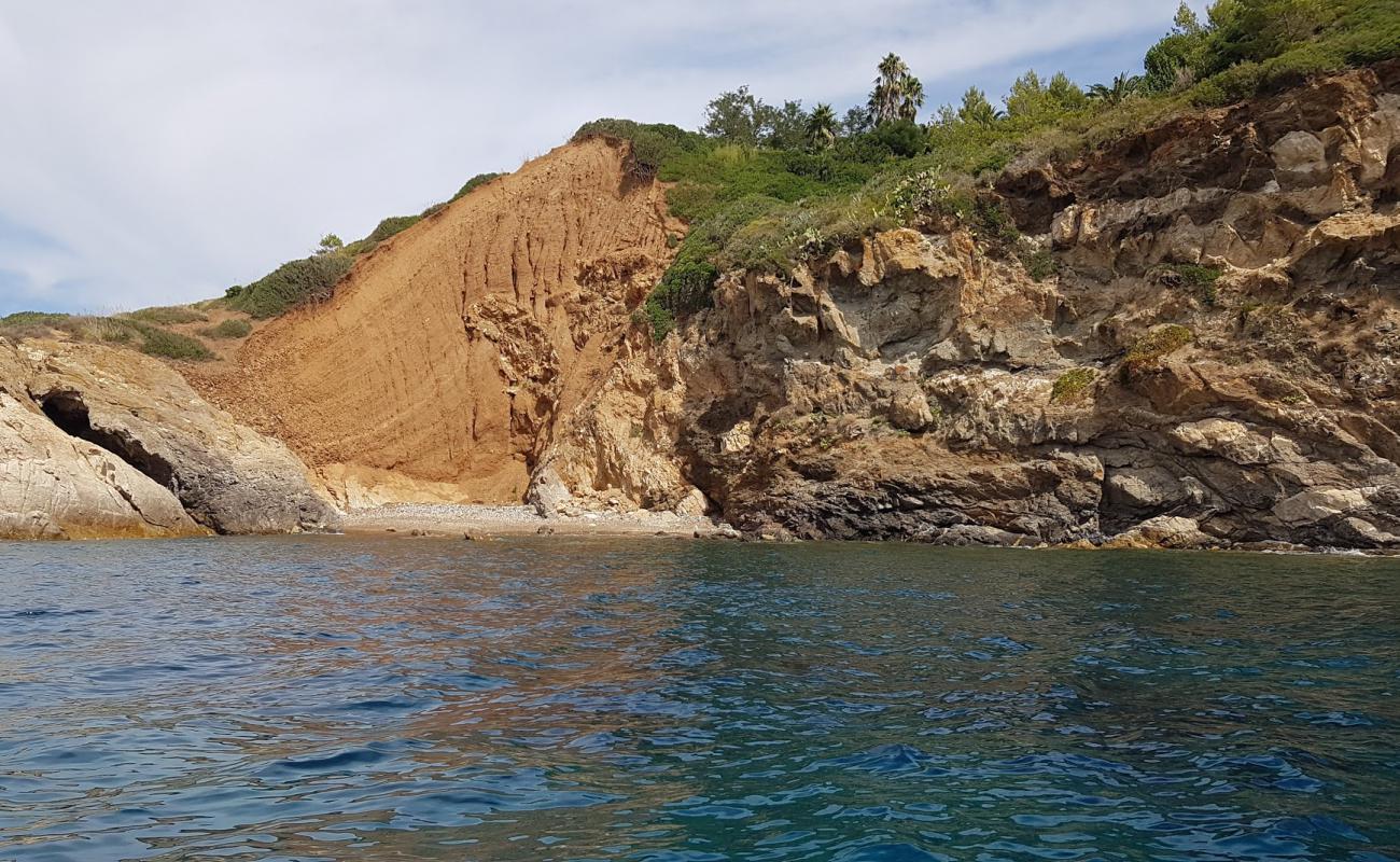 Фото La Ripa beach с светлая галька поверхностью