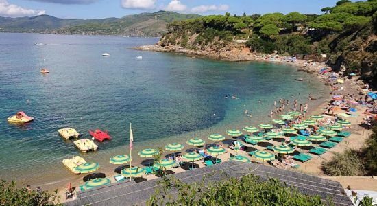 Spiaggia Di Zuccale