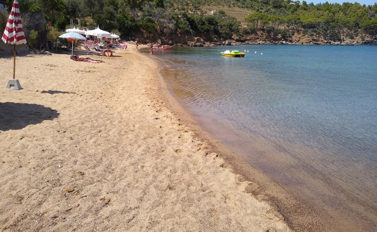 Фото Spiaggia di Galenzana с белая чистая галька поверхностью