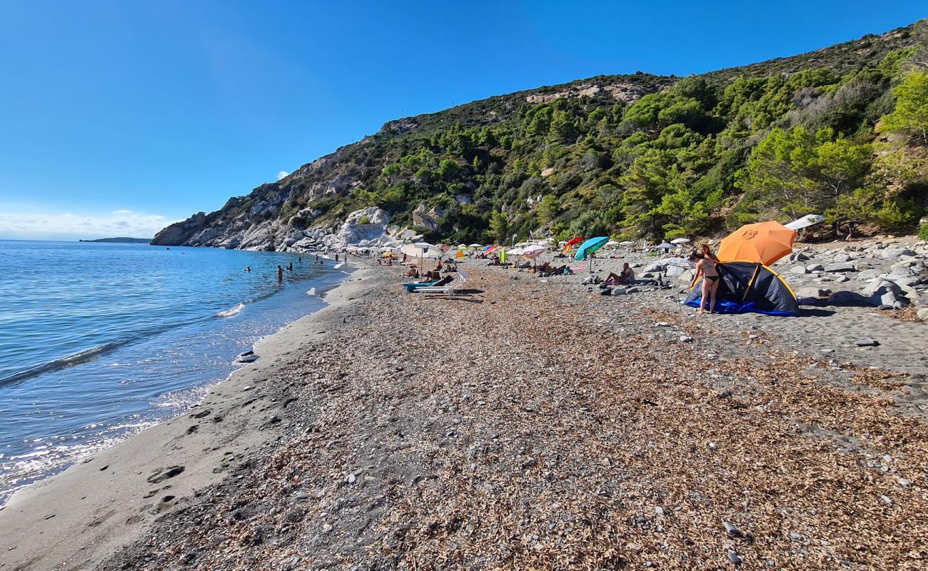 Фото Palombaia Beach с серая галька поверхностью