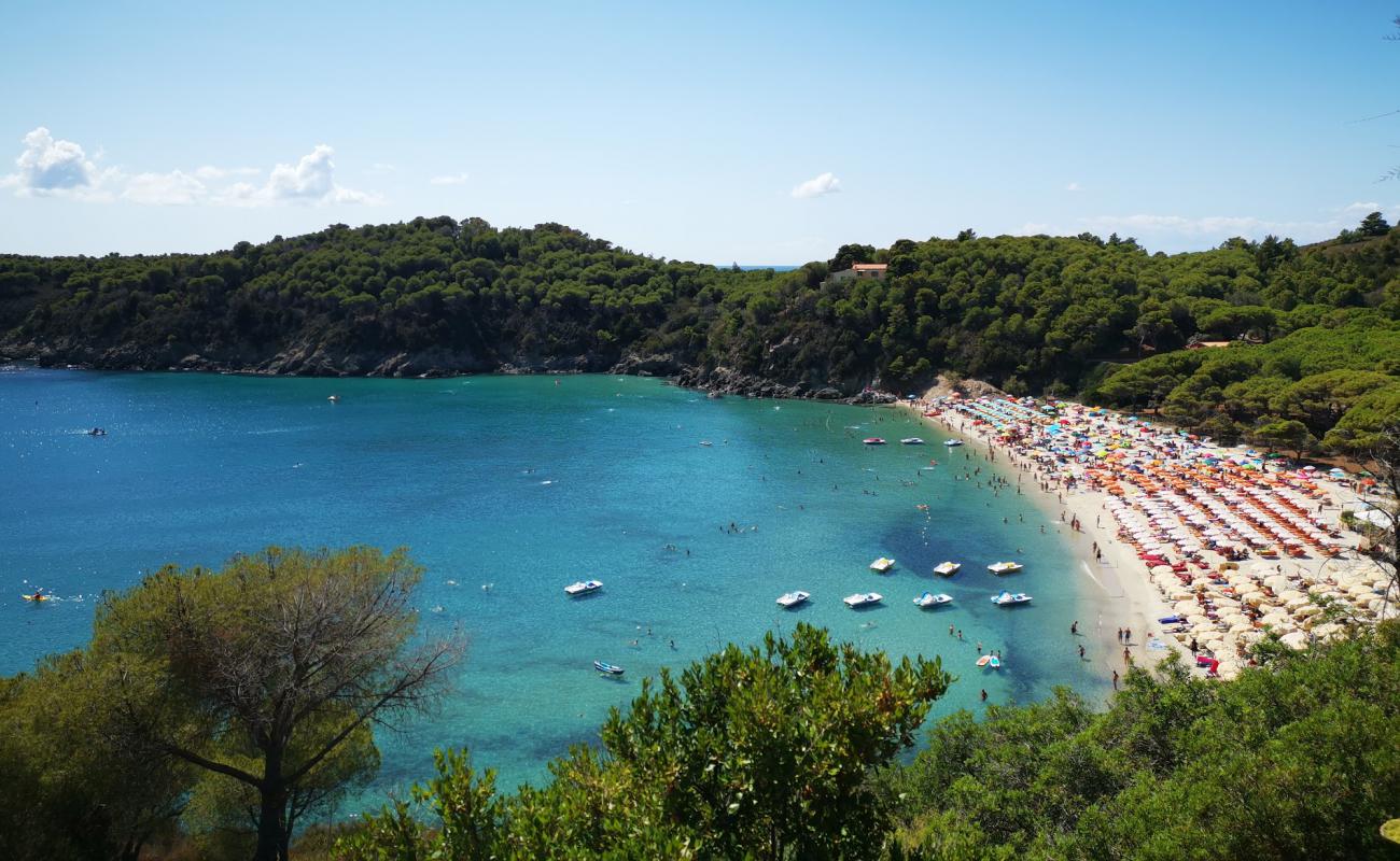 Фото Spiaggia di Fetovaia с светлый песок поверхностью