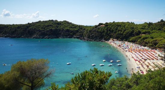 Spiaggia di Fetovaia