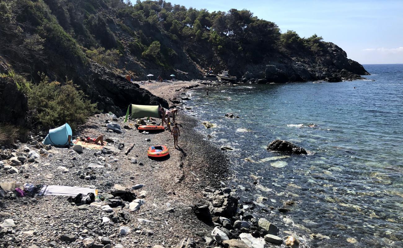 Фото Spiaggia dell'Ogliera с светлая галька поверхностью