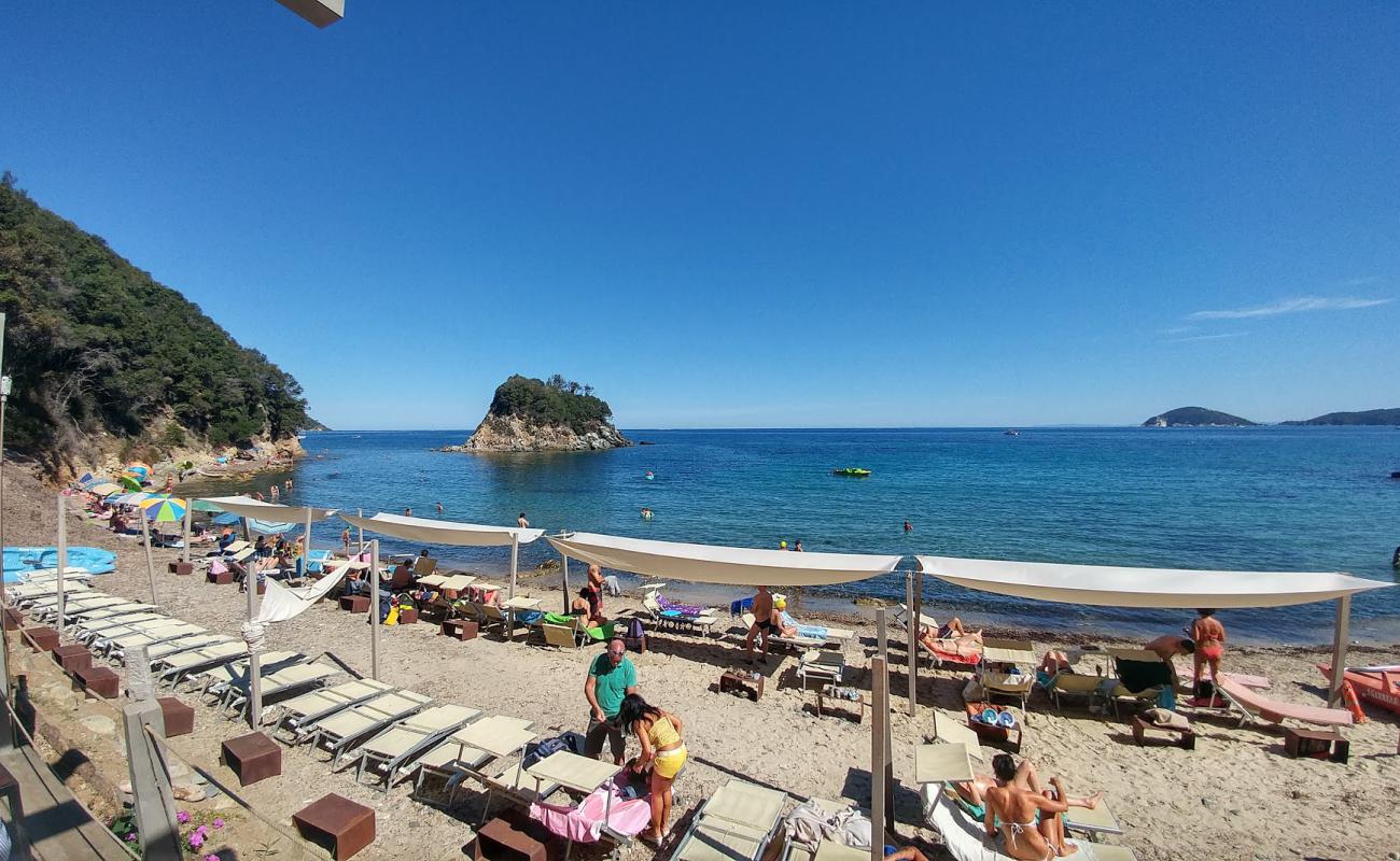 Фото Spiaggia della Paolina с светлая галька поверхностью