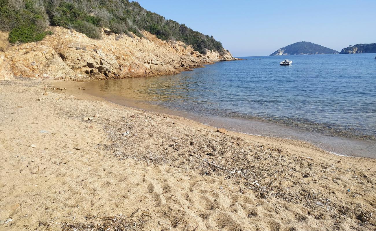 Фото Spiaggetta del Porticciolo с белая чистая галька поверхностью