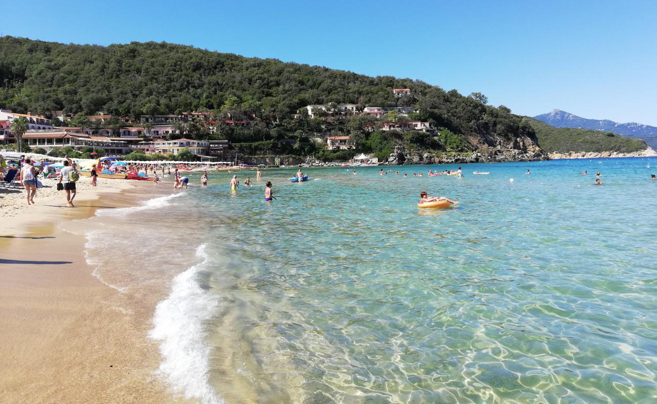 Фото Spiaggia della Biodola с золотистый песок поверхностью