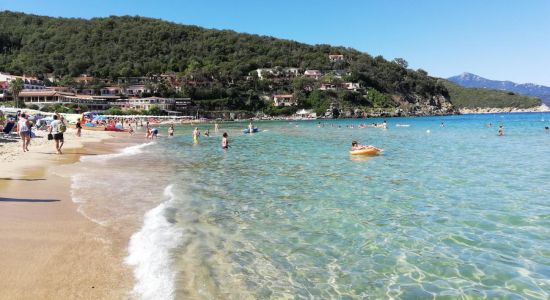 Spiaggia della Biodola